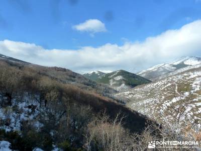 Hayedo Montejo; Reserva Biosfera Sierra Rincón; rutas madrid senderismo; viajes de montaña